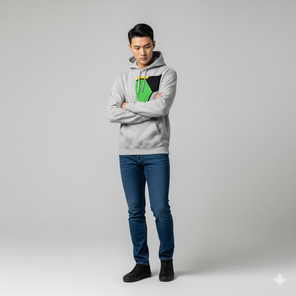Graphic Panel Basic Hoodie in Medium Weight Cotton