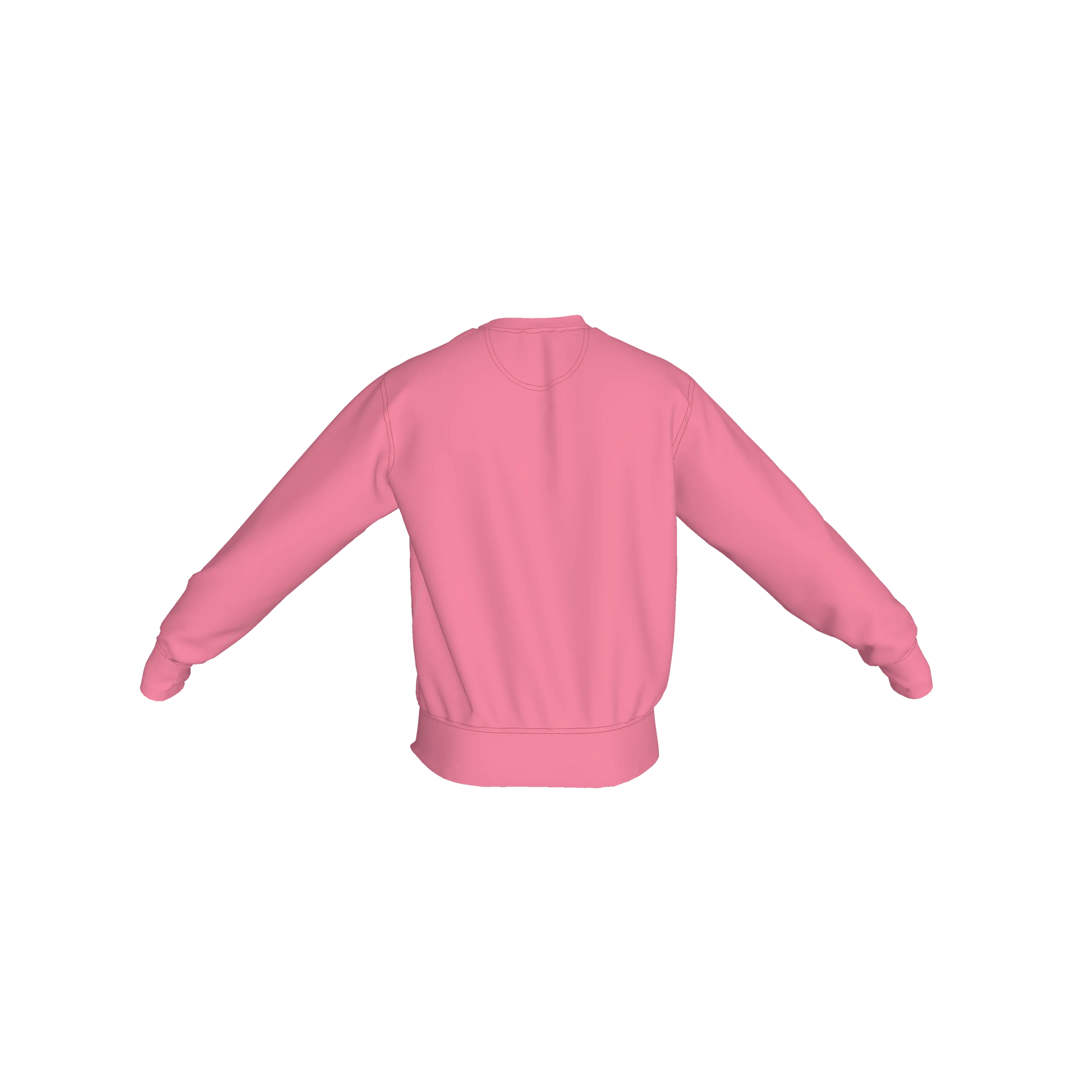 Crew Neck Sweatshirt with Inset V – "REBEL" Graphic