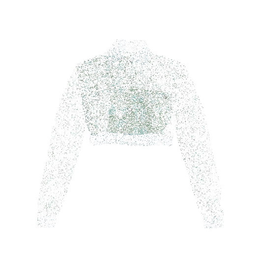 Green & Blue Cropped Jacket 