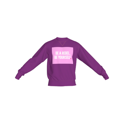 Crew Neck Sweatshirt with Inset V