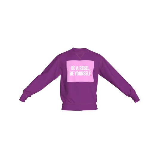 Crew Neck Sweatshirt with Inset V