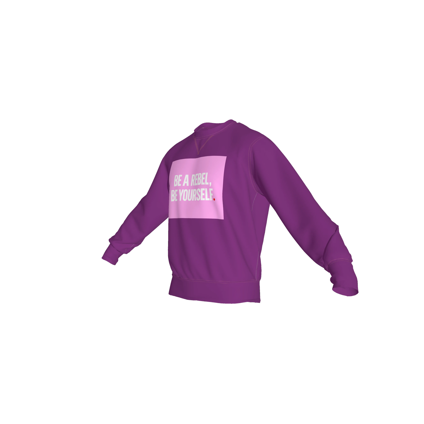 Crew Neck Sweatshirt with Inset V