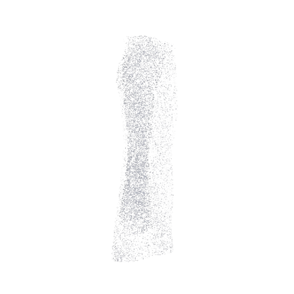 Classic Dark Bell Bottom Pant